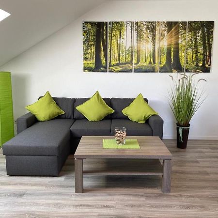 Ferienwohnung Frieda Mit Ueberdachtem Balkon Winterberg Kültér fotó